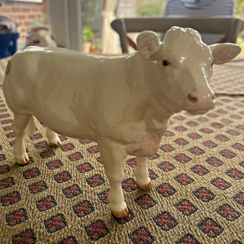 Border fine arts cattle - border,