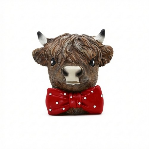 Highland cow head - highland, bust