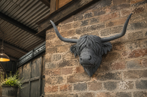 Highland cow head wall - highland,