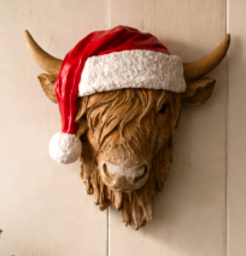 Highland cow head - highland,