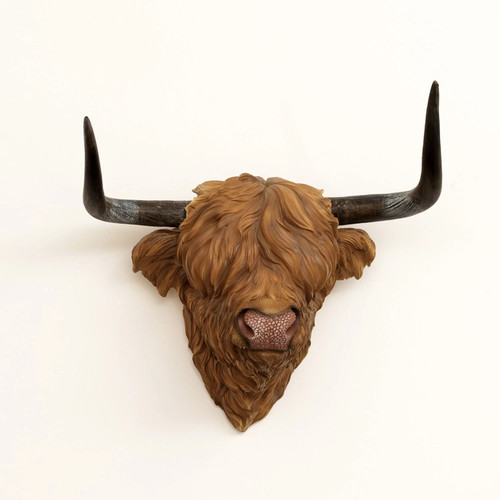 Resin highland cow - cow, wall