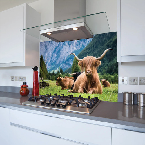 Cows mountains toughened - mountains,