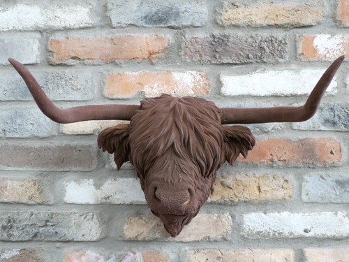 Highland cow head wall - highland,