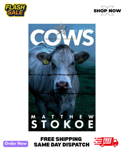 Cows matthew stokoe - by,