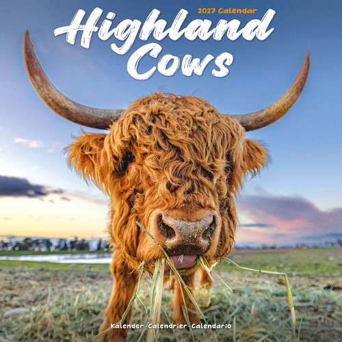 Cows highland 2027 calendar - ,