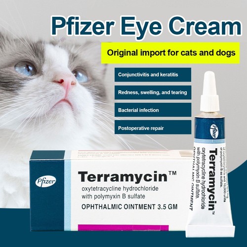 New pet eye - uk,