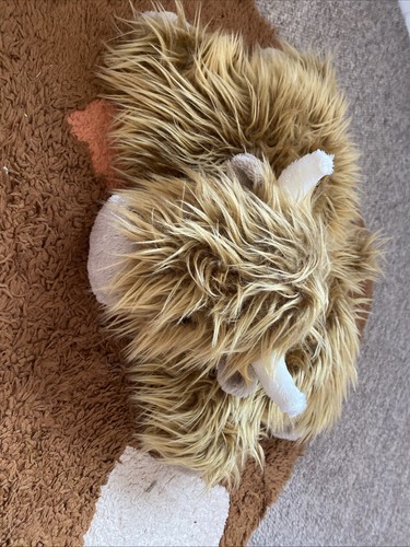 Truffles the highland cow - truffles,