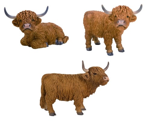 Vivid arts highland - vivid, cattle