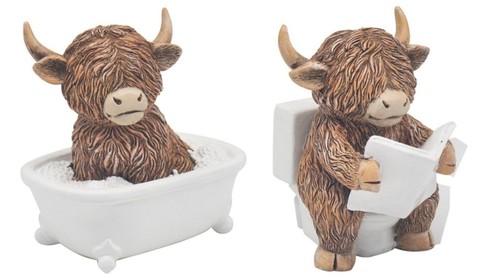 Highland cow soaking - highland,