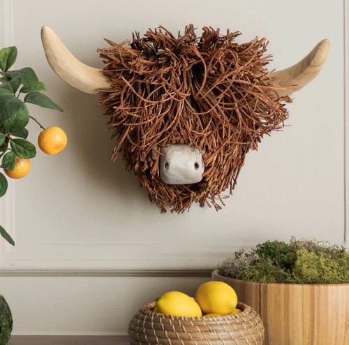 Voyage maison highland cow - maison,