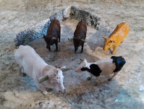 Group bulls and cows - cows, with