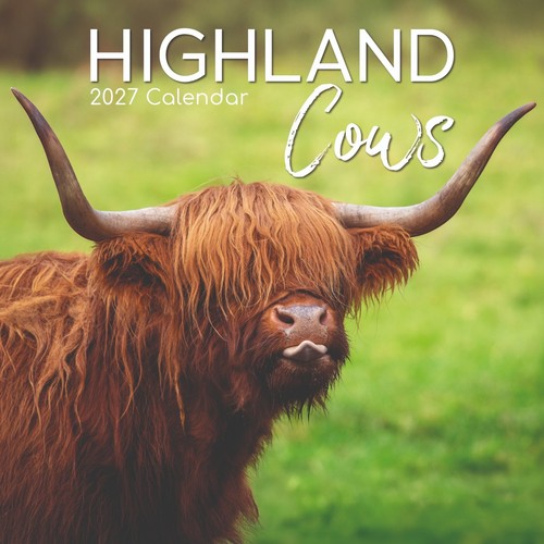 2027 wall calendar - wall,