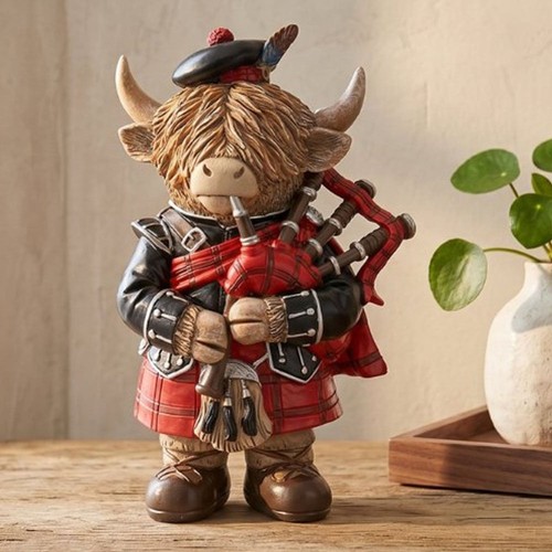 Lesser pavey highland cow - lesser,
