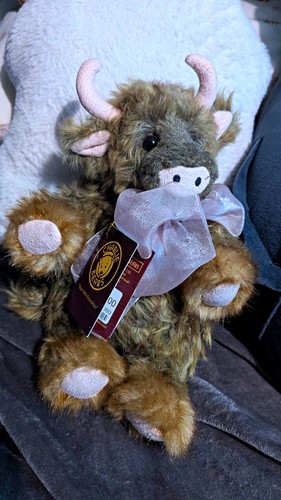 Charlie bears highland cow - bears,