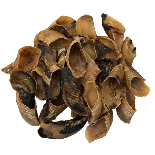 Hooves natural dried empty - -,