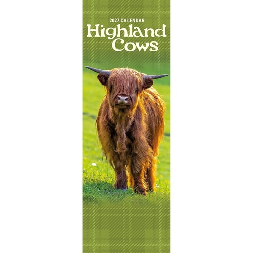 Highland cows slim calendar - highland,