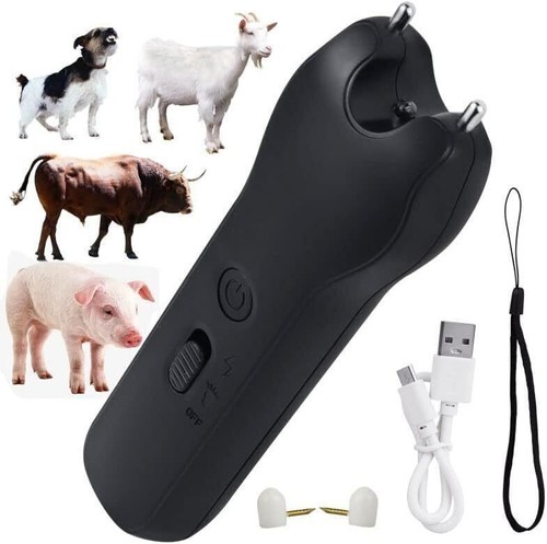 Usb electric pig - electric, moving
