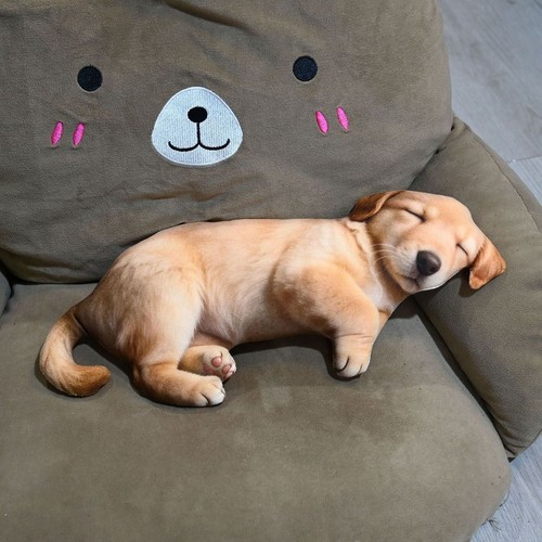 Realistic animal plush pillow - animal,