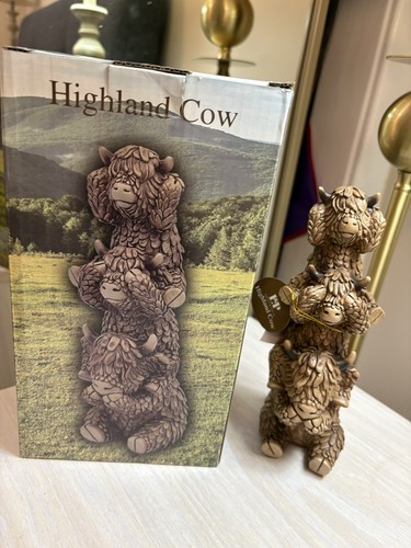 Hughie highland cows - highland,