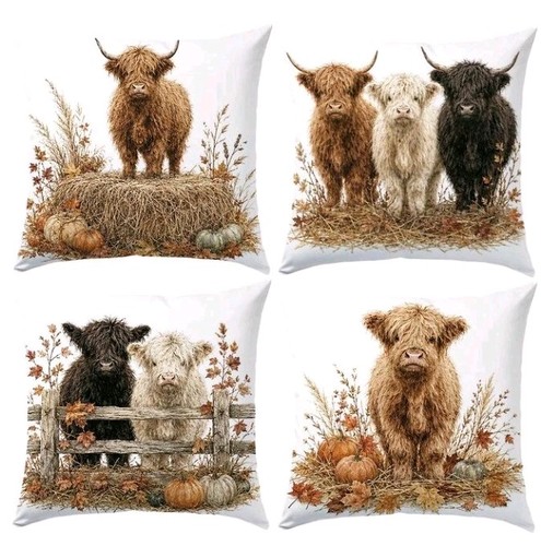 Beautiful highland cow - x,