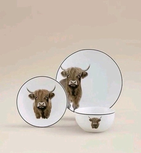 White highland cow dinner - highland,