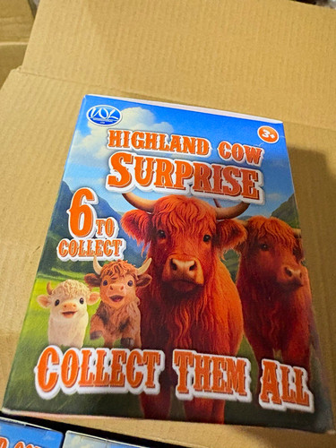 Wja highland cow surprise - surprise,