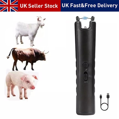 Livestock pig cattle - pig, moving