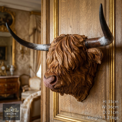 Lovely highland cow head - cow, wall
