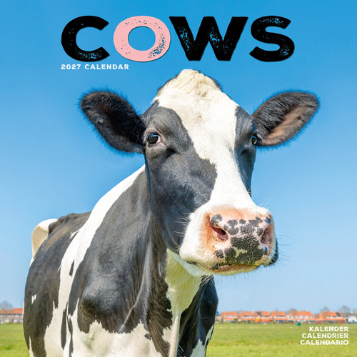 Cows 2027 calendar animal - 2027,