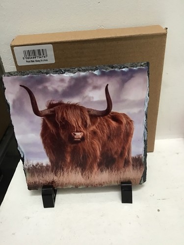 Gorgeous glossy highland cow - glossy,