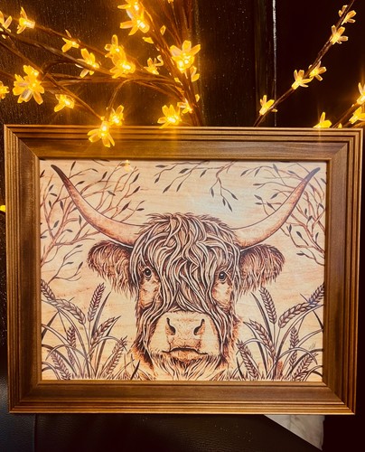 Highland cow pyrography framed - highland,
