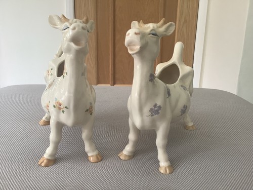 Pair daisy the - cow', cow